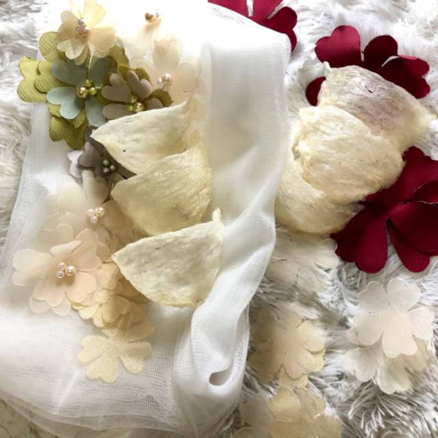 Sarang Burung Walet mangkok