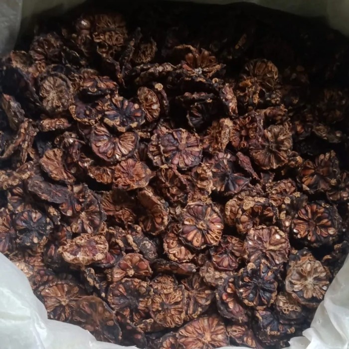 

Buah Mengkudu Kering 1 Kg Morinda citrifolia Organik Herbal Pure Noni