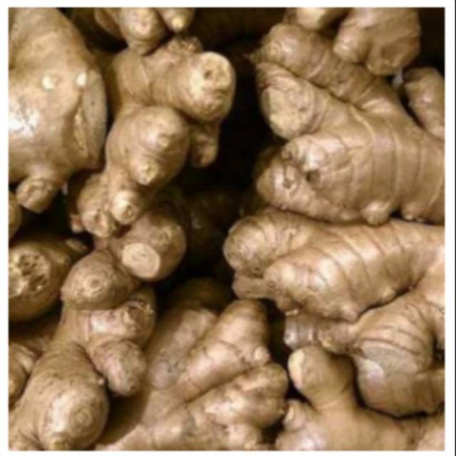 

Jahe putih kecil utuh 250gr