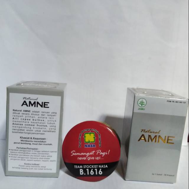 

AMNE_PENAMBAH BERAT BADAN_HERBAL