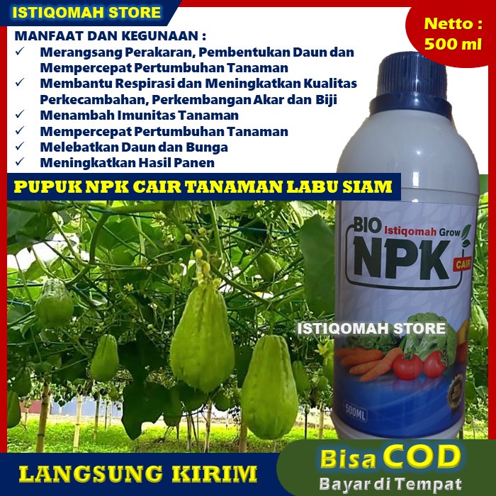 Pupuk Pelebat Buah &amp; Bunga Tanaman Timun ISTIQOMAH GROW 500ML Pupuk NPK Cair untuk Mempercepat Pertumbuhan Tanaman Sayuran Timun Mentimun Bonteng yang Bagus dan Manjur Bisa Bayar di Rumah TERLARIS MURAH