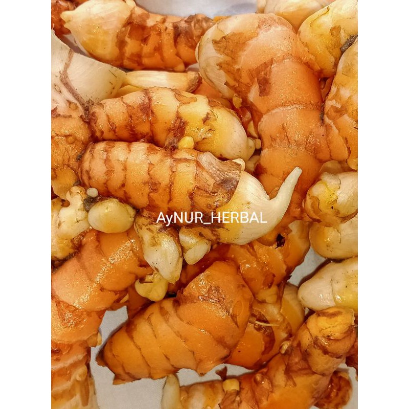 

kunyit atau koneng segar 500 gram