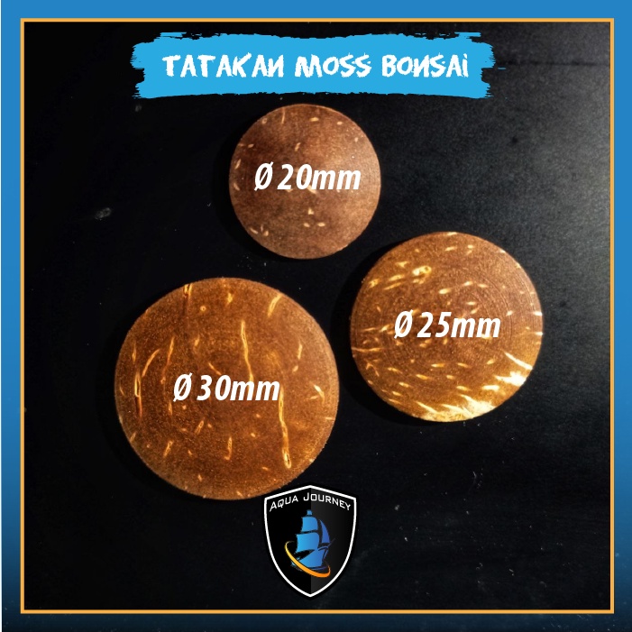 Tatakan Moss Bonsai Aquascape Berbahan Batok Kelapa ukuran 20mm 25mm 20mm