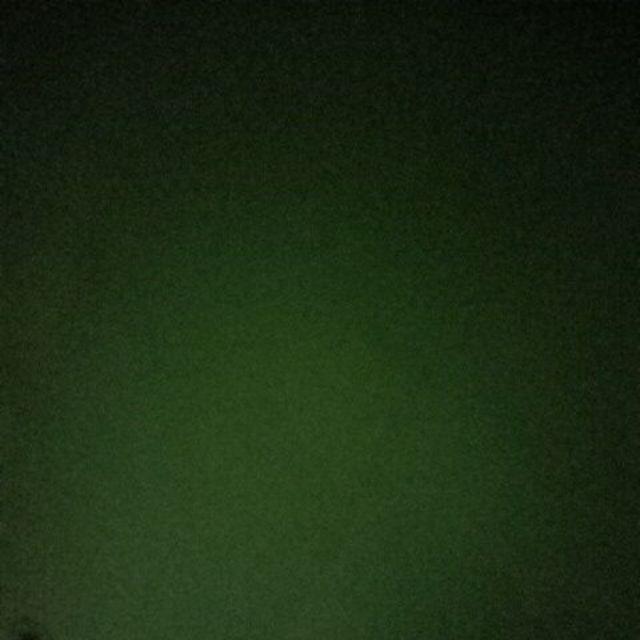 Lion Star - Livina Bottle Brush - Sk-2