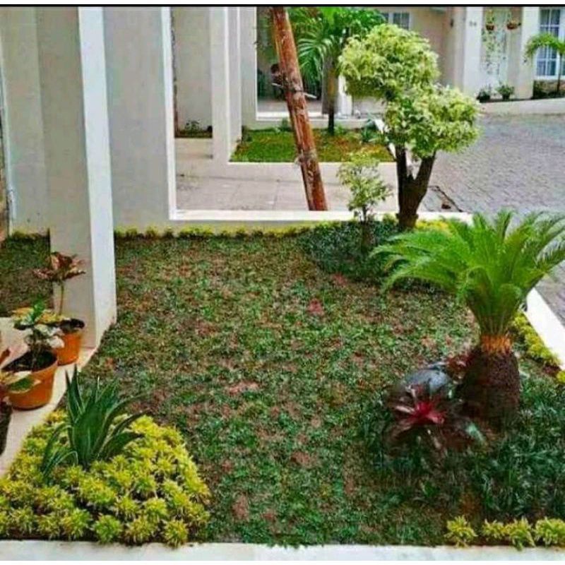 jasa taman depok / bikin taman minimalis / renovasi taman