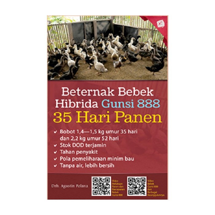 Beternak Bebek Hibrida Gunsi 888 : 35 Hari Panen