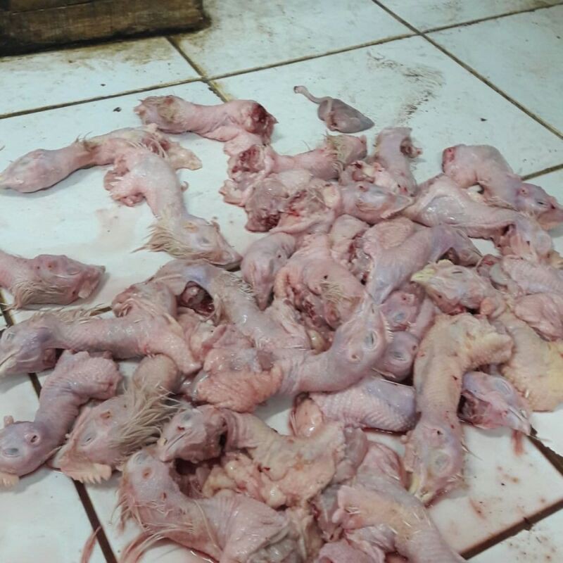 

Kepala Ayam 1kg