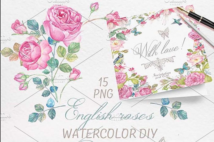 Hand Drawn Watercolor English Roses - Vector Designs