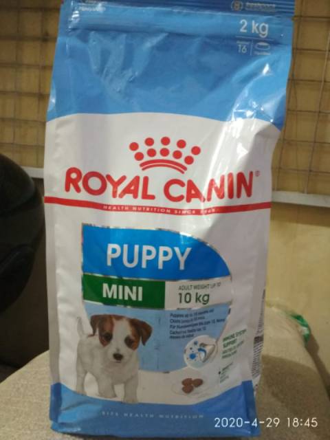 Royal canine Mini Puppy/Mini Adult