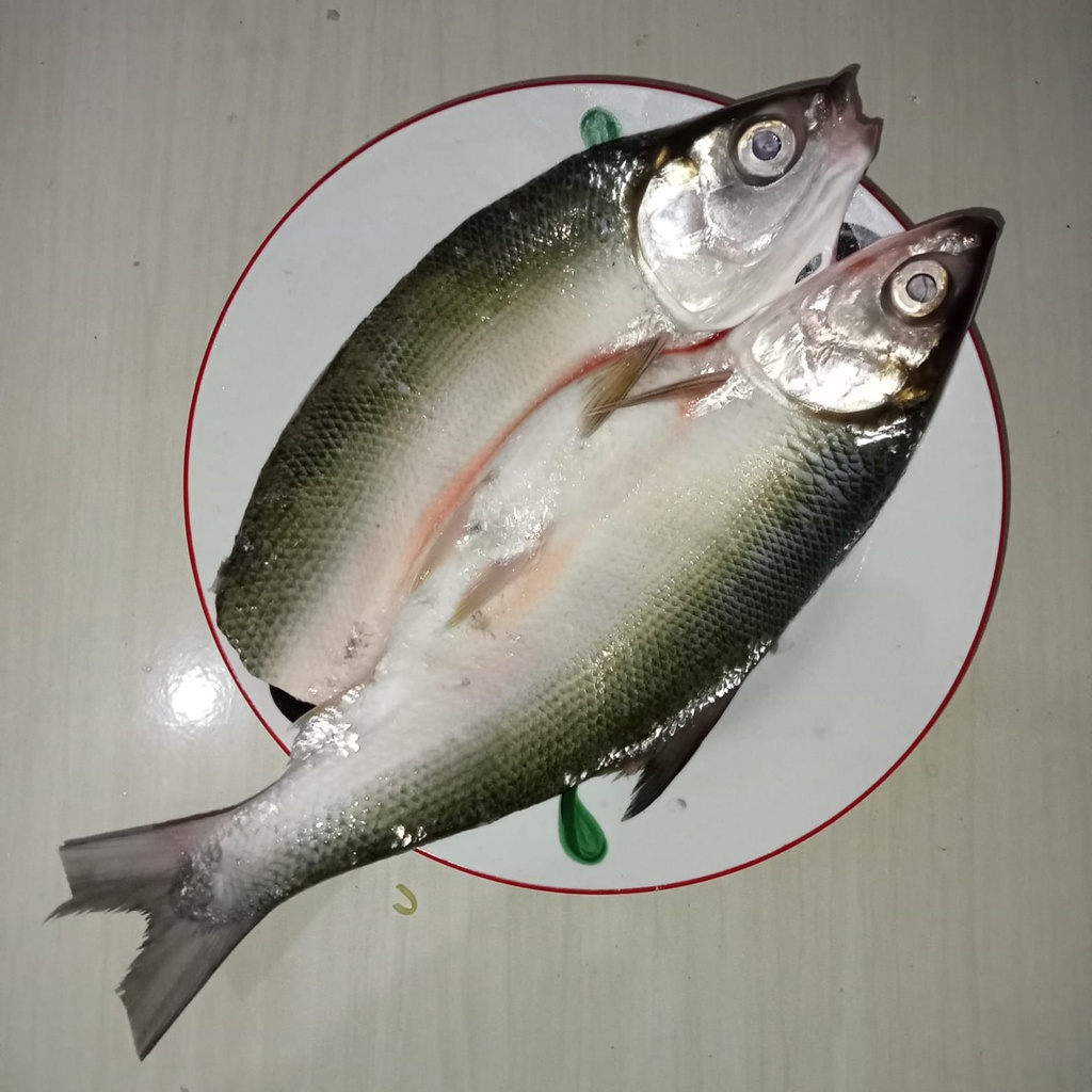 

Ikan Bandeng Belah Punggung