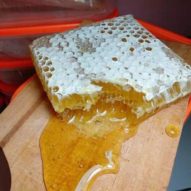 

Madu sarang/madu ternak