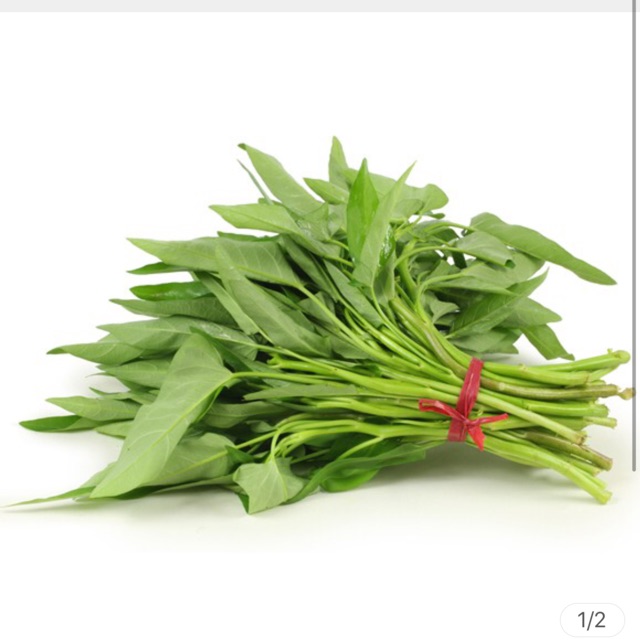 

Kangkung Segar