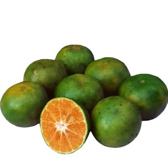 

JERUK BUAH SIAM SUPER JERUK BUAH FRESH BUAH-BUHANAN