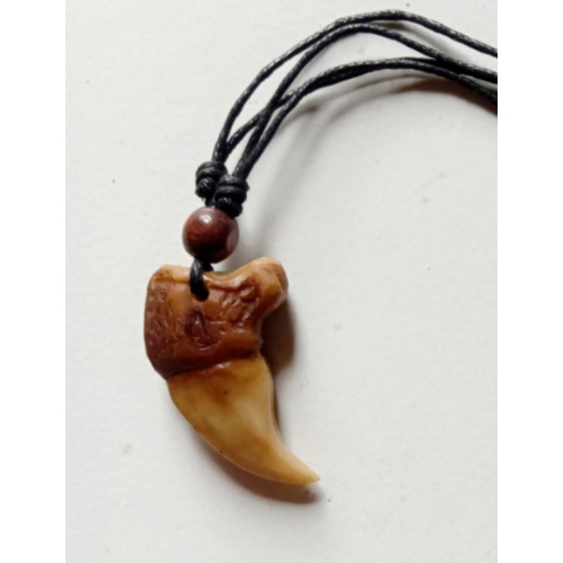 BEST SELLER KALUNG KUKU HARIMAU MACAN