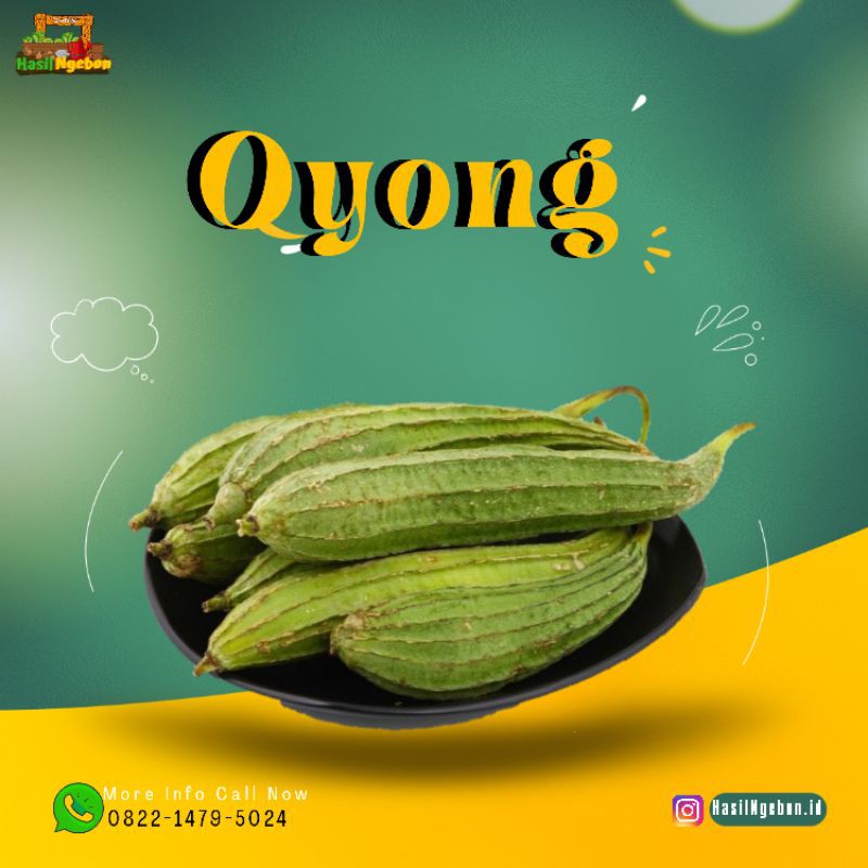 

OYONG 500GR