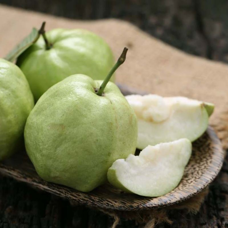 

Jambu Kristal