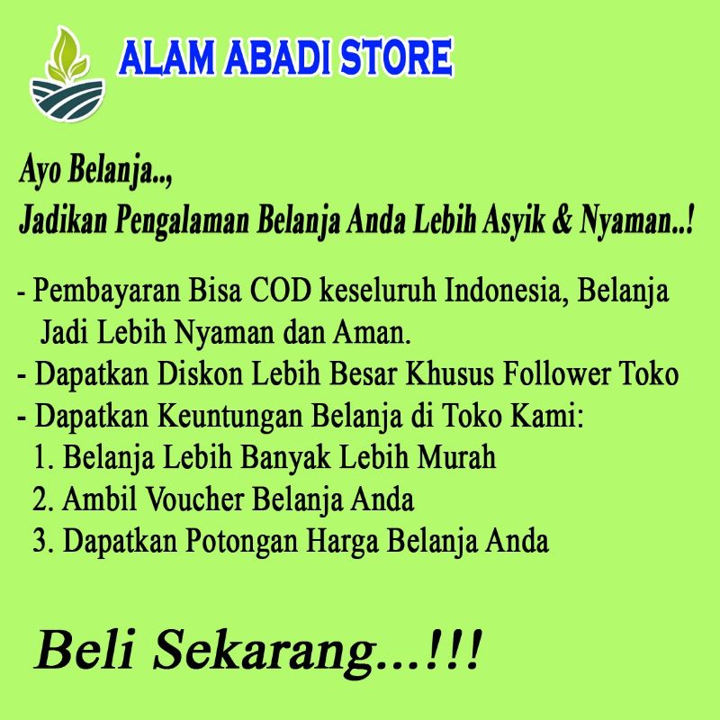 Anting Wanita Desi Gold Pertama Putih Perhiasan Xuping Wanita Dewasa Aksesoris Perempuan-1