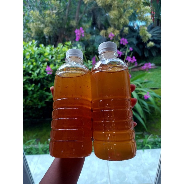 

madu murni 500 gr
