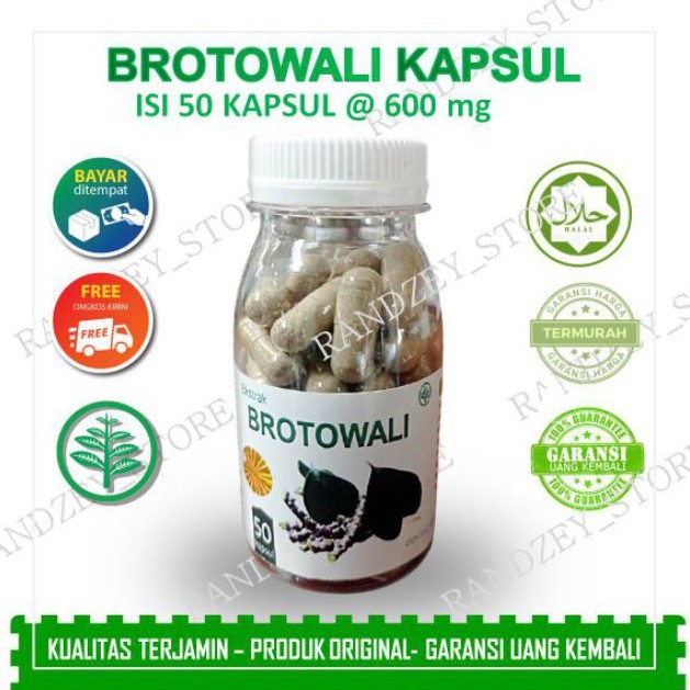 Brotowali obat gatal kulit eksim alergi biduran herbal daun jamu suplemen kesehatan isi 50 kapsul