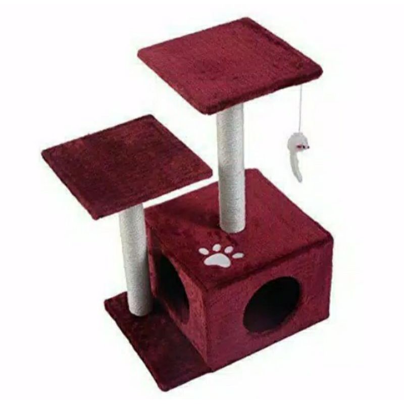 cattree / catcondo mainan kucing kitten anggora makanan kucing persia pasir kucing flatnose garukan 