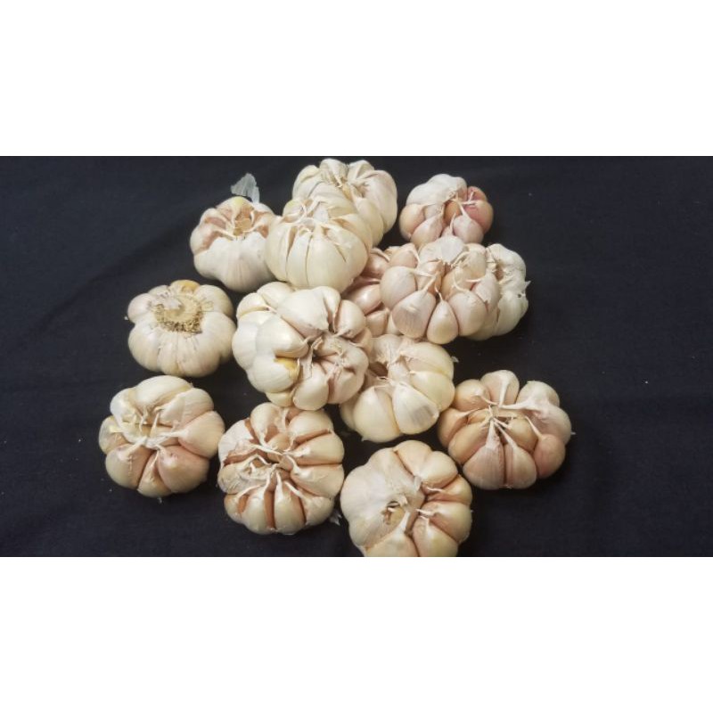 

Bawang Putih 500gr