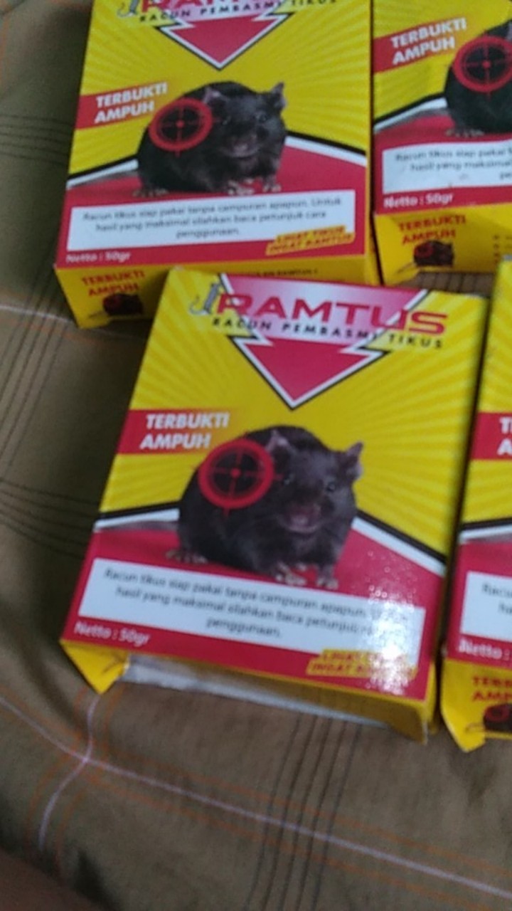 Ramtus Racun Tikus Got Curut Paling Ampuh Pembasmi Tikus Dirumah Racun Tikus Di Mesin Mobil 1 Pack