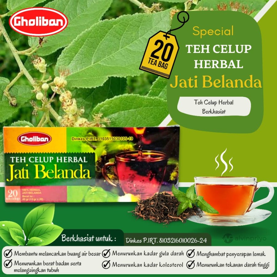 PELANGSING JATI BELANDA TEH CELUP HERBAL JATI BELANDA GHOLIBAN