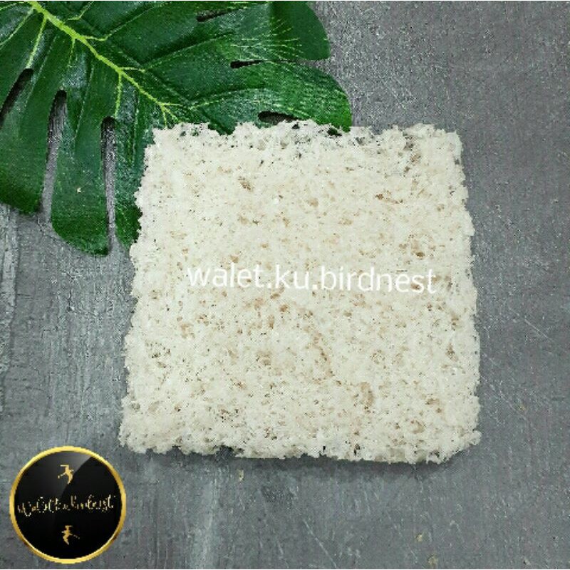 sarang burung walet Premium bersih