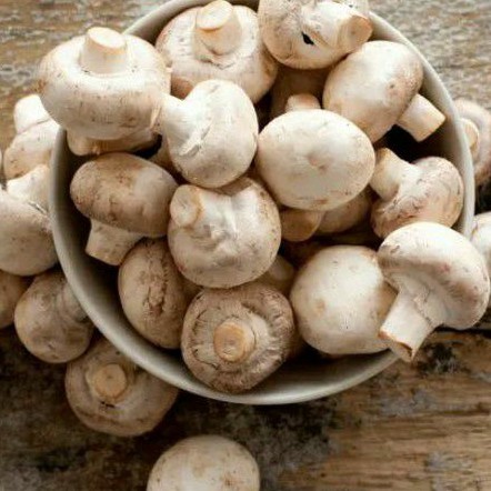 

Jamur Champignon/Jamur Kancing