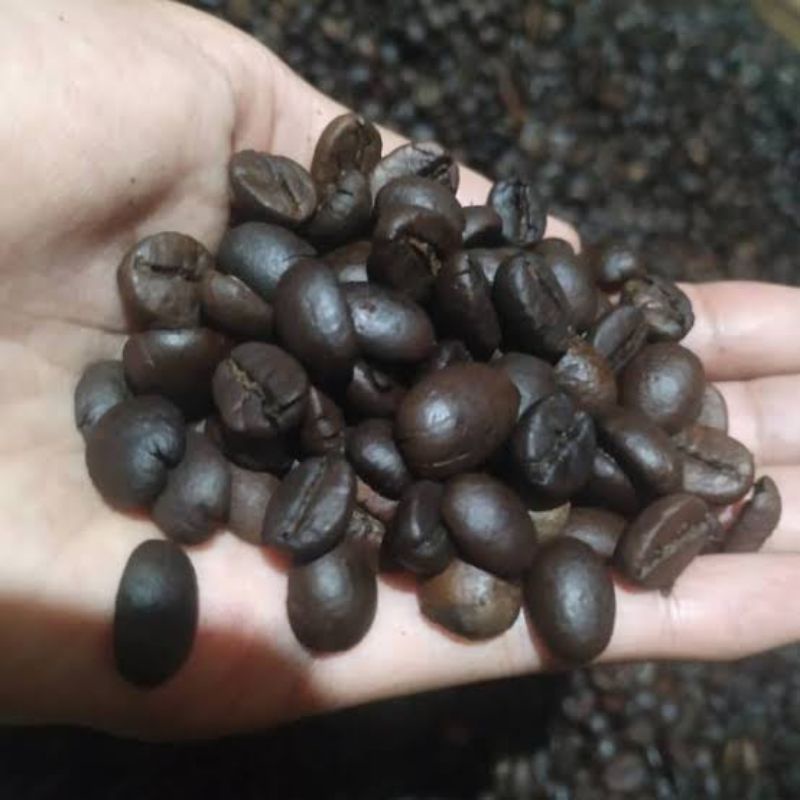 

roastbean biji kopi robusta lampung