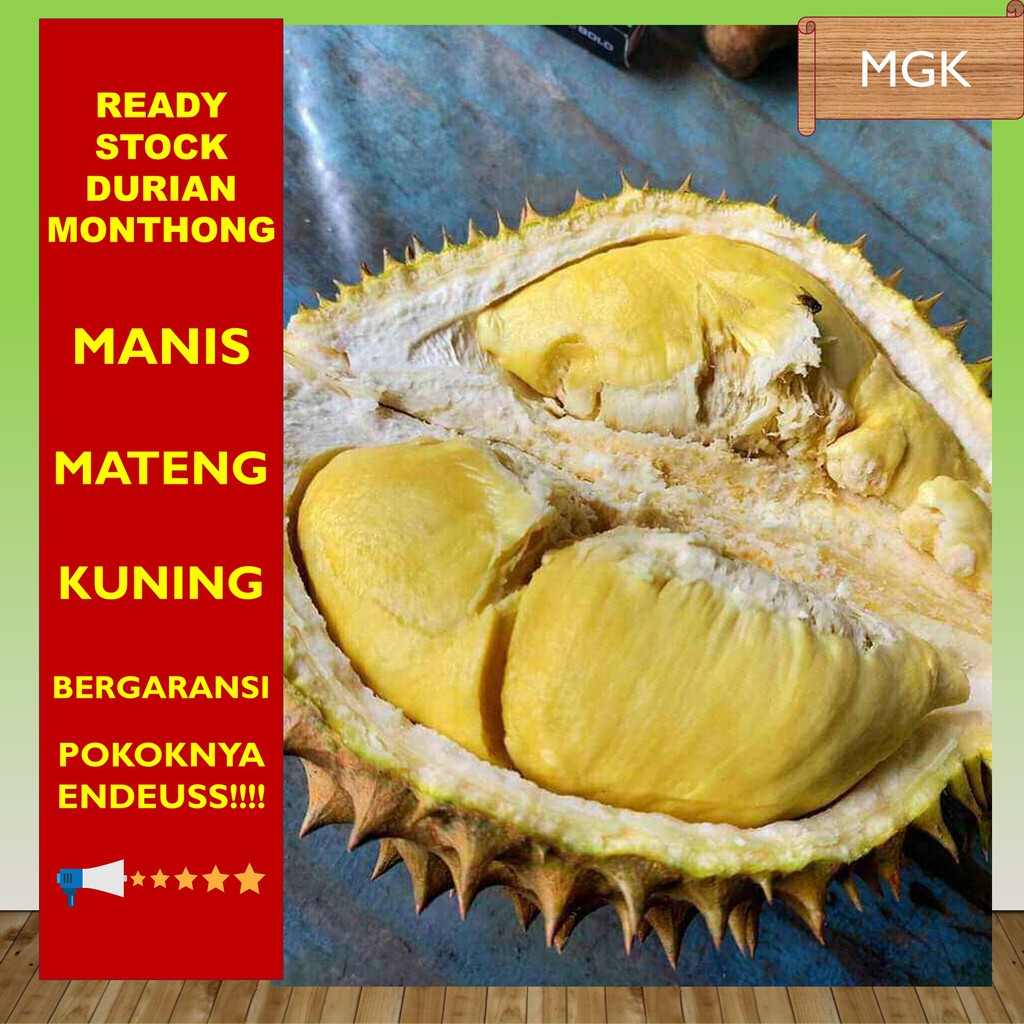 

SALE PROMO DURIAN KUPAS MONTONG TERMURAH
