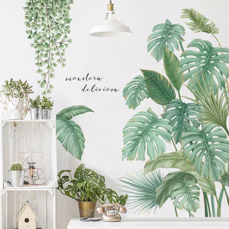 WALL STICKER STIKER DINDING Q 42 WALLSTICKER WALLPAPER WALPAPER DAUN KAKTUS PALEM HIJAU MONSTER MONTERA MONSTERA LEAF CAFE CAFEE KAFE DEKORASI TAMAN RUMAH TEMBOK RUANG TAMU KAMAR TIDUR  KERAMIK KRAMIK DAPUR TANGGA LEMARI PINTU JENDELA KACA KAMAR MANDI