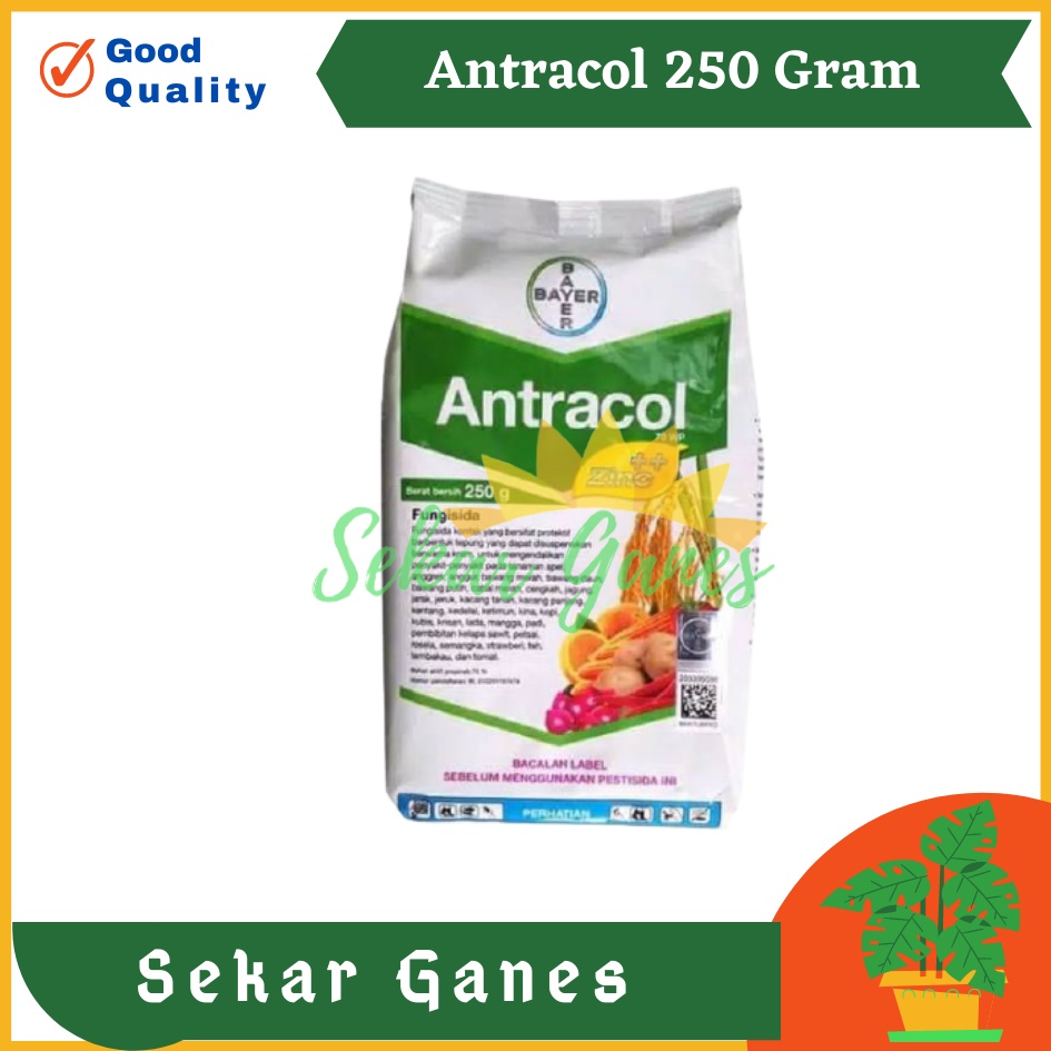 Fungisida Antracol 70 Wp 250 Gram Gr Obat Tanaman Jamur Untuk Anggrek Dan Tanaman Lain | Bukan Pupuk