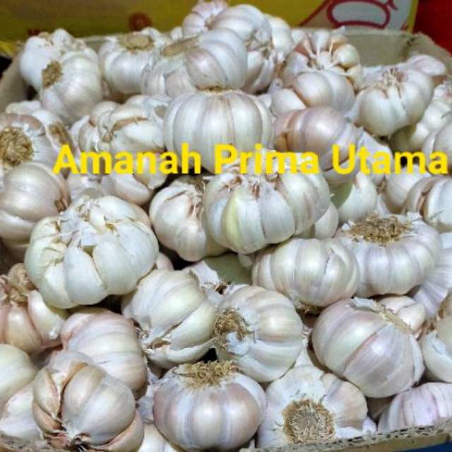 

Bawang Putih Honan Bersih per 1 kg