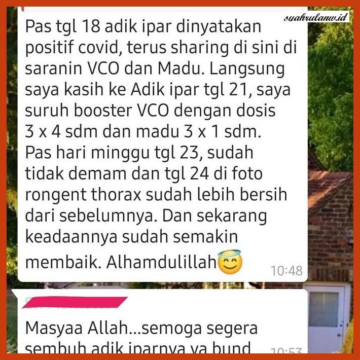 

OBAT-HERBAL- 500ML VIRGIN COCONUT OIL /VCO/MINYAK KELAPA ASLI -HERBALITY.