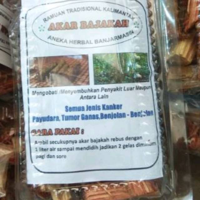 

Akar Bajakah