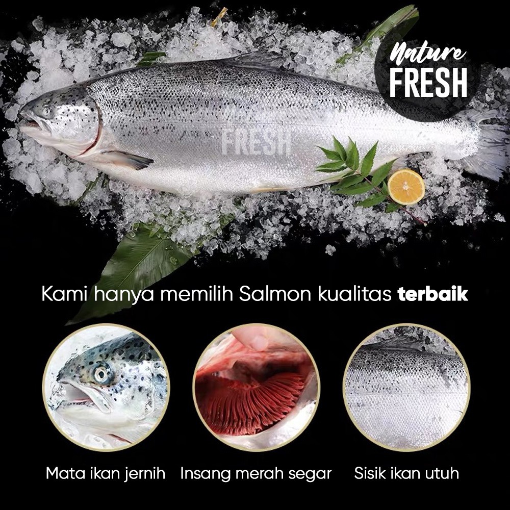 Ikan Salmon Fillet Beku Frozen 200gr Kualitas Premium