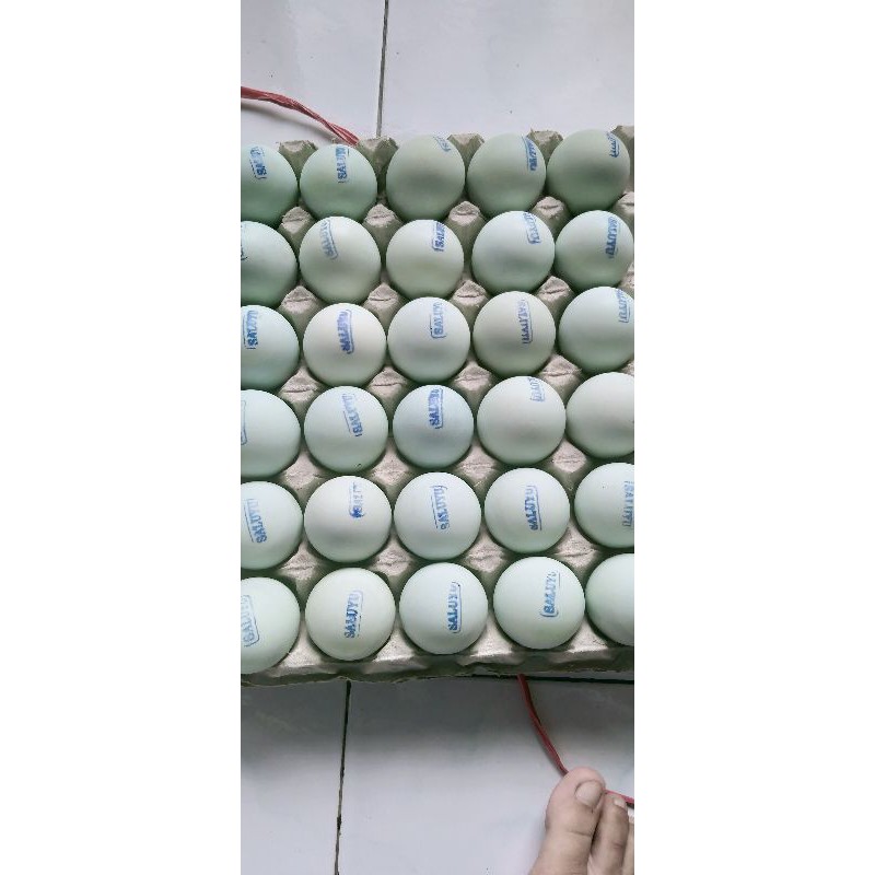 

Telur Asin Asli