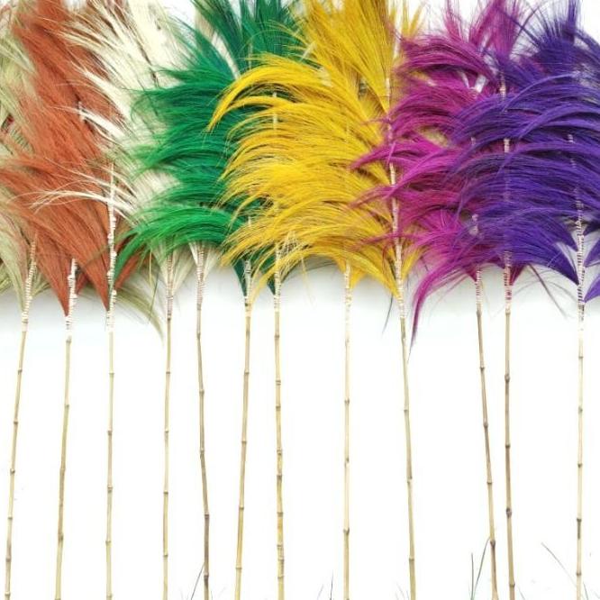 ♂ Home Decor Rayung Kering Rayung Panjang Rayung Natural Rayung Rustic Dekorasi Rustic Rayung Pampas