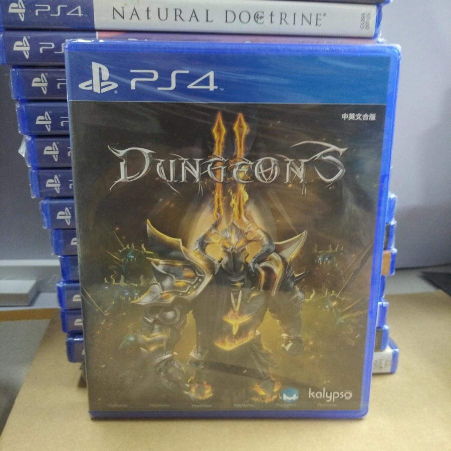 PS4 Dungeon 3