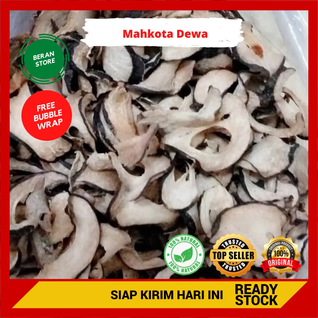 

✔ 50g Mahkota Dewa kering Herbal Alami Kolesterol Darah Tinggi