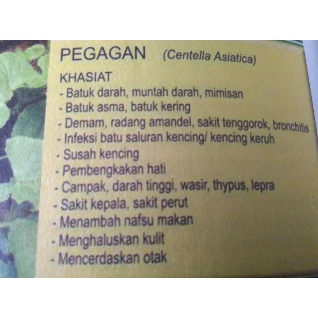 Serbuk Pegagan Obat Campak, Liver, Darah Tinggi, Demam, Batuk, Wasir