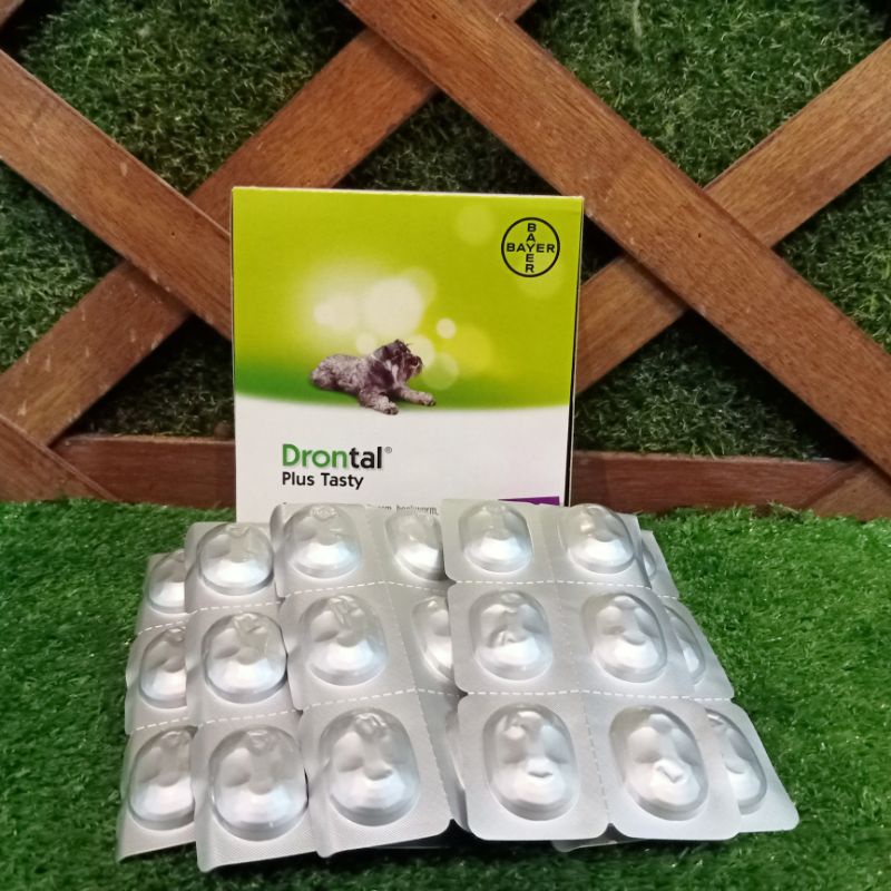 Drontal dog / drontal plus tasty / obat cacing anjing / obat cacing drontal