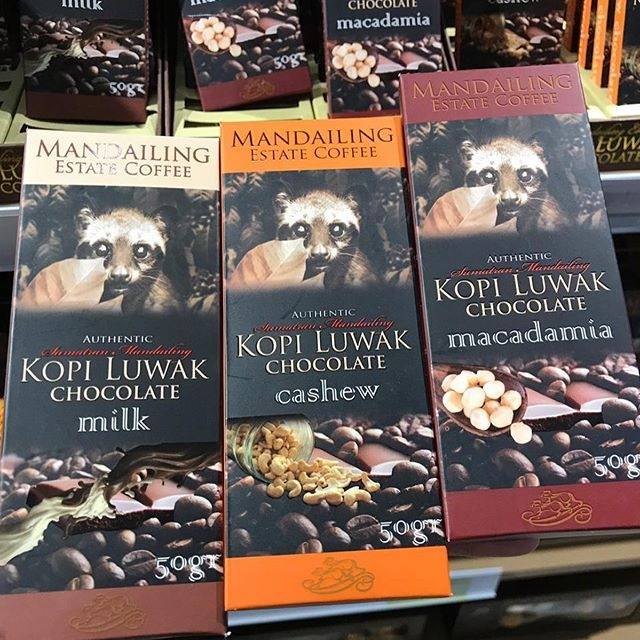 

Kopi Luwak ||Mandailing