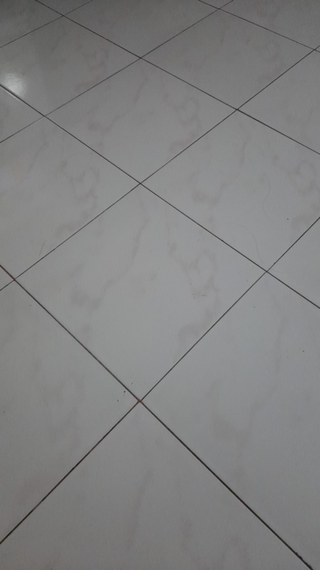 Hanger Dewasa H&m (10pcs)