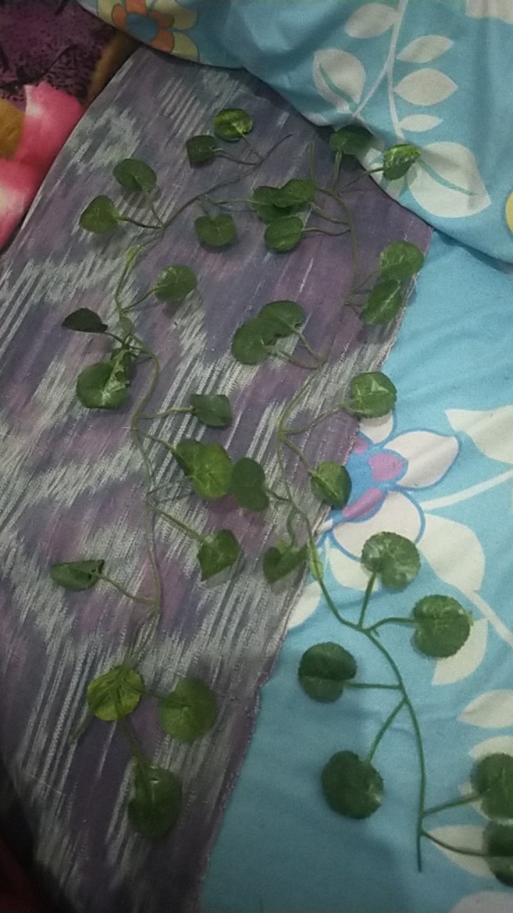 Satuan Rambat Kecil/daun Rambat Plastik/bunga Plastik/rumput Plastik/bunga Plastik/dekorasi Rumah