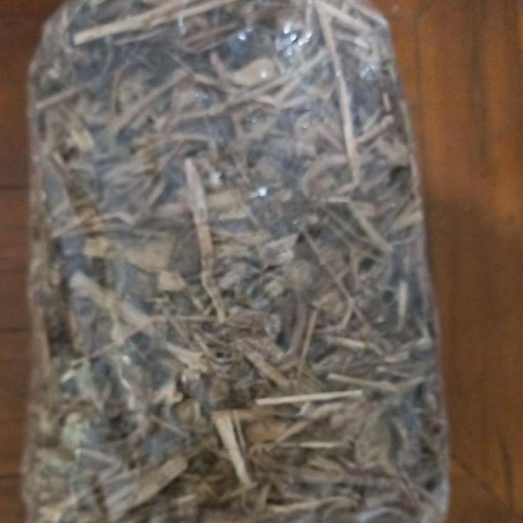

Model Baru 1 kg 1kilo 1000gr Ciplukan kering / cecenet kering !