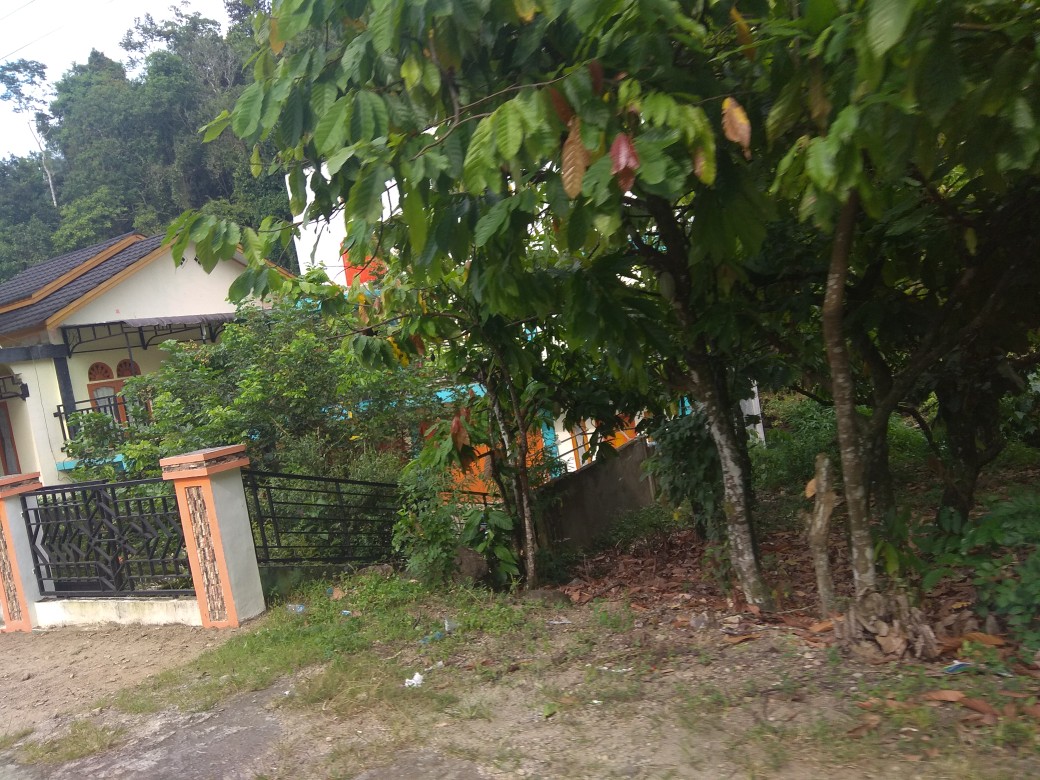 Baju Batik Coupel Couple Sarimbit Pasangan Baju Seragam Kerja Kondangan Wanita Tunik Kemeja Modern