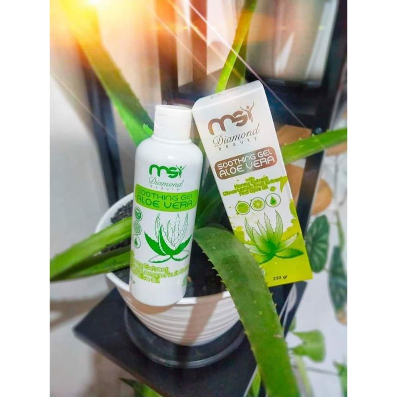 Soothing Gel Aloevera MSI