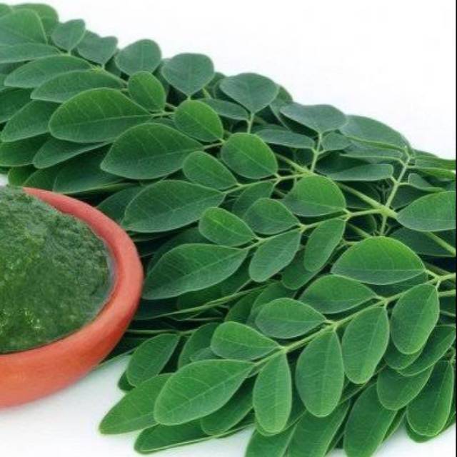 

Teh daun kelor asli kemasan 250 gram